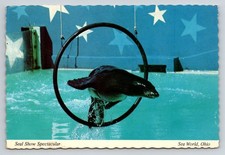 Vintage Sea World Ohio Seal Show Spectacular Postcard Mike Roberts Aurora