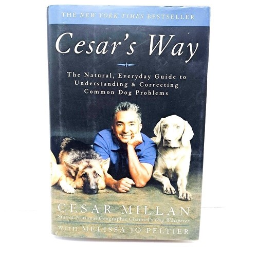 Cesar's Way Dog Training Guide Book Cesar Millan Understanding Correcting 2006