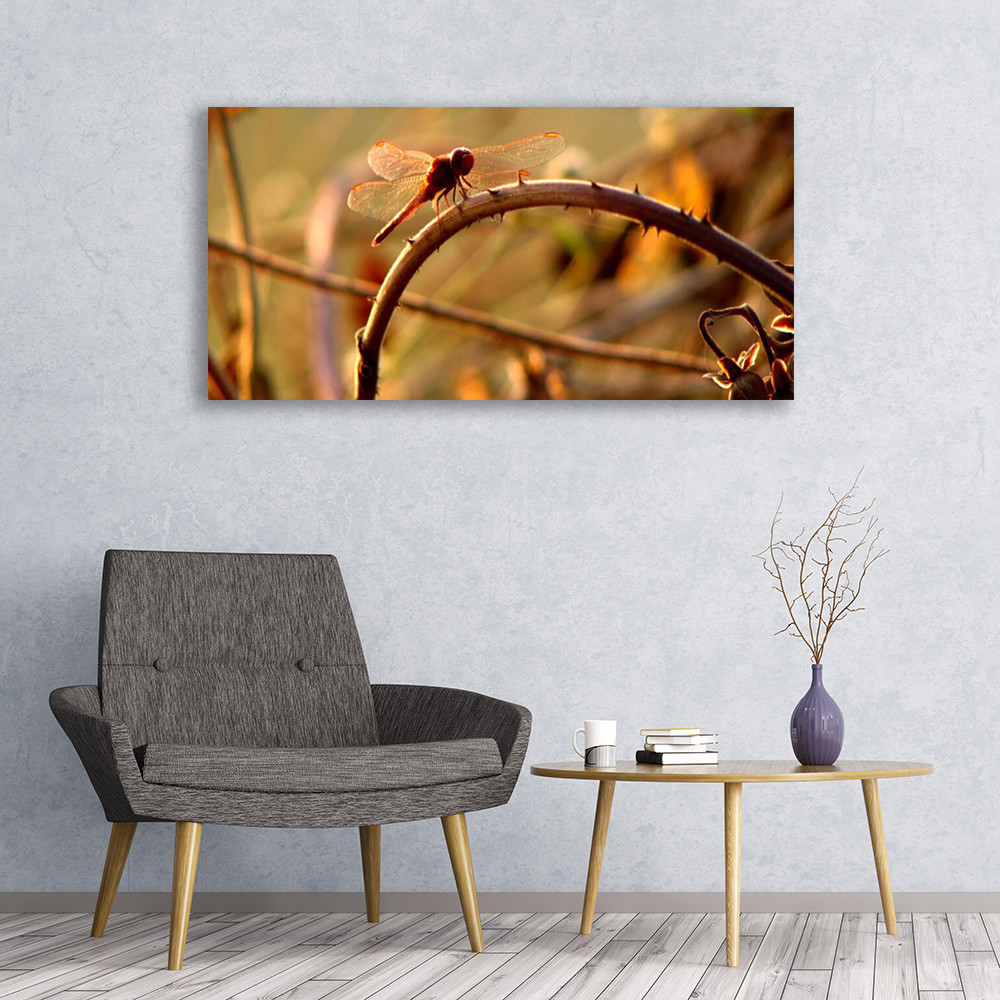 Tableau nature libellule grand format pour salon et decoration murale moderne