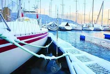 SCOTT AERATOR COMPANY LLC SLINGER MODEL 1/2 HP 115 VOLT 25FT