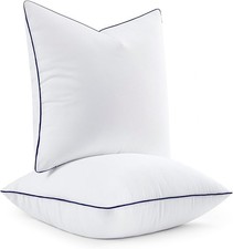 18X18 Pillow Inserts, Fluffy down Alternative Filling Pack of 2 Ultra Soft Throw