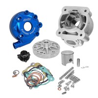 Polini PRE4 Zylinder Dm 47,6 70Cc Yamaha Aerox Jog R / Mbk Nitro 50 2T Lc