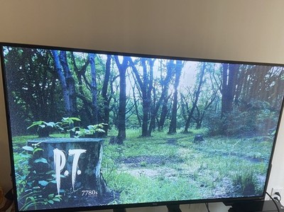 P.T. Demo Silent Hill on PS4 Slim (Rare)