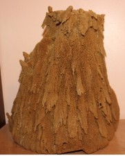 Large Natural Harvested Sea Sponge From Greece