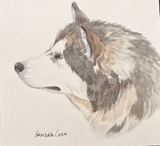 Alaskan Malamute Original Watercolor by Sandra Coen Head Study