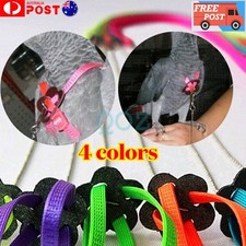 Qttie Pet Parrot Bird Harness Lead Leash Flying Training Rope Cockatiel Outdoor