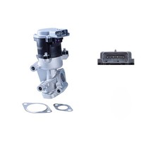 NGK / NTK Agr-Ventil + Dichtungen FüR Citroen C5 III C6 Peugeot 407 607 2.7 Hdi