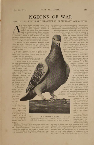 1914 WW1 ARTICLE & PICS PIGEONS OF WAR PIGEON CARRIER LOFT GERMAN MILITARY