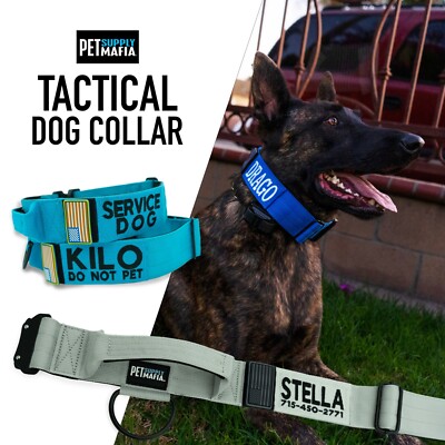 2in Tactical dog collar with handle, custom embroidered name, USA flag, 