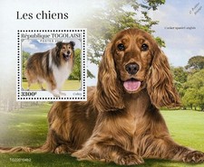 DOGS (Collie & English Cocker Spaniel) Dog MNH Stamp Sheet (2022 Togo)