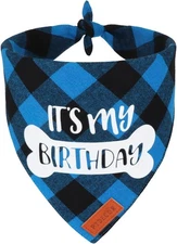 PTDECOR Dog Birthday Party Supplies, It’s My Scarf Blue Large, 