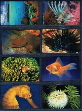 GIAN - Themenreihe "Das Atoll Und Seine Bewohner" 11 Neue Kärtchen Komplett