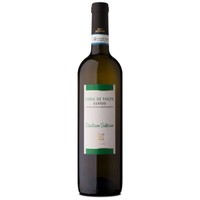 Wein Fuchsschwanz Sannio D. O. P. Weiß - Cantine Astroni - 6 StüCk