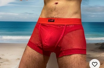 Sexy Men's Sheer Net Boxer Underwear Briefs Red Seetrought 