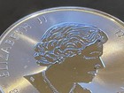 2016 Canada Bison $8 Coin – 1.25 oz .9999 Silver BU RCM Wildlife Series — photo 9