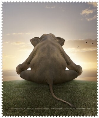 Brillenputztuch aus Microfaser von Rannenberg & Friends | MEDITATION | Neu