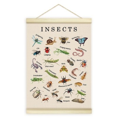 Types of Bugs Insects Poster Hanger Frame, Learning Materials Art Wooden Canv...