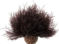 Oase Biorb Plant Crimson Sea Lily Ball Weighted plastic aquarium safe Small NEW