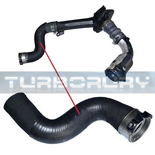 LUFT TURBOSCHLAUCH MANSCHETTE INTERCOOLER RENAULT MEGANE III FLUENCE 144602487R - Bild 7 von 8