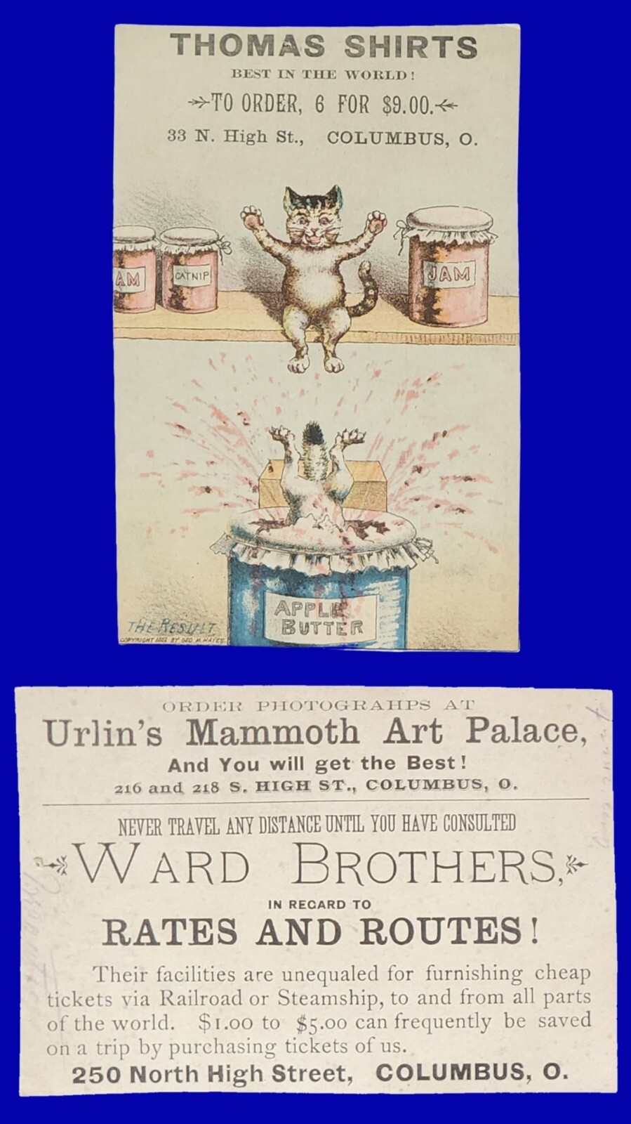Mammoth Art Palace/Thomas Shirts Columbus Ohio Trade Card 1882 Cats In