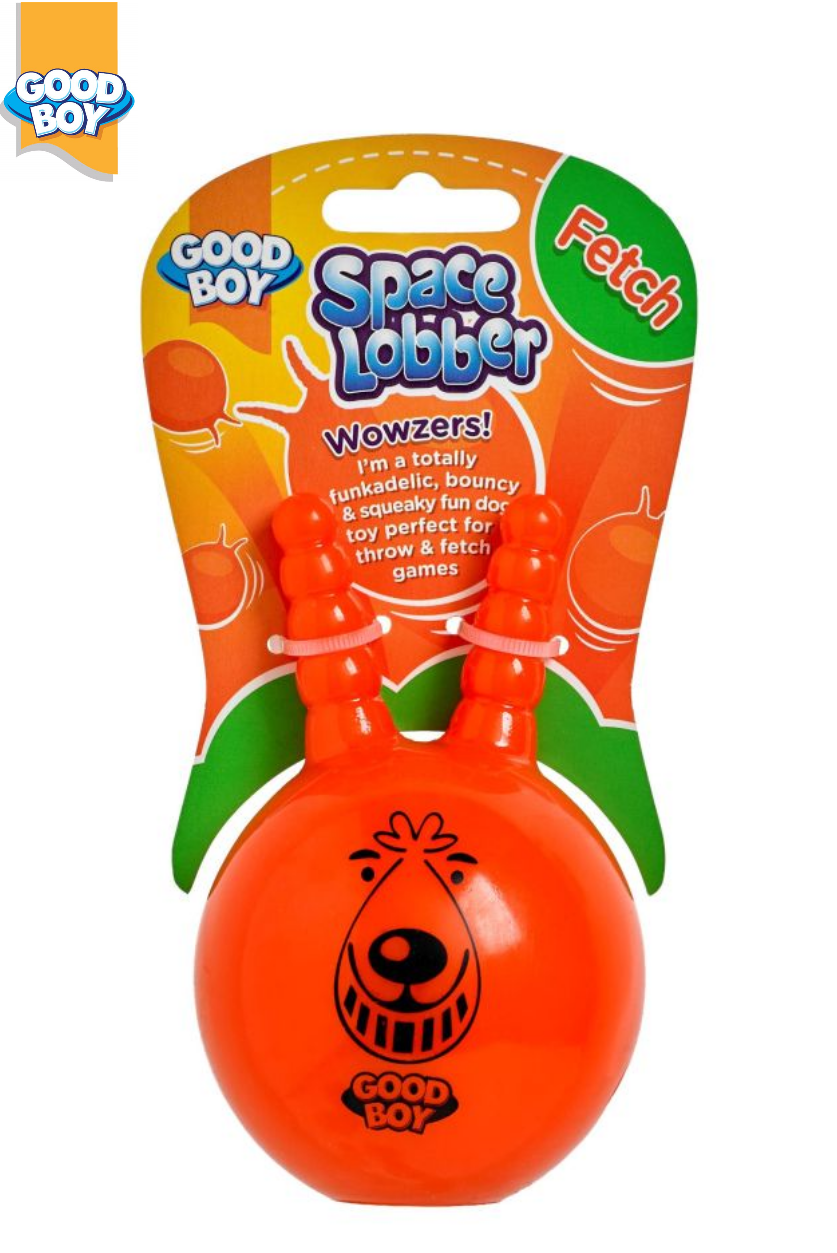 GOOD BOY SPACE LOBBER FETCH DOG PUPPY SQUEAKY BOUNCY PLAY TOY 12 CM