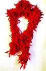 Bild 3 von 5