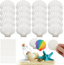 20 Stück Weiße Jakobsmuscheln, 6-7cm Muscheln Natürliche Muschel, Jakobsmuscheln