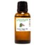 thumbnail 26 - Essential Oils - 30 mL (1 oz) - 100% Pure Therapeutic Grade Oil - 60+ Options!