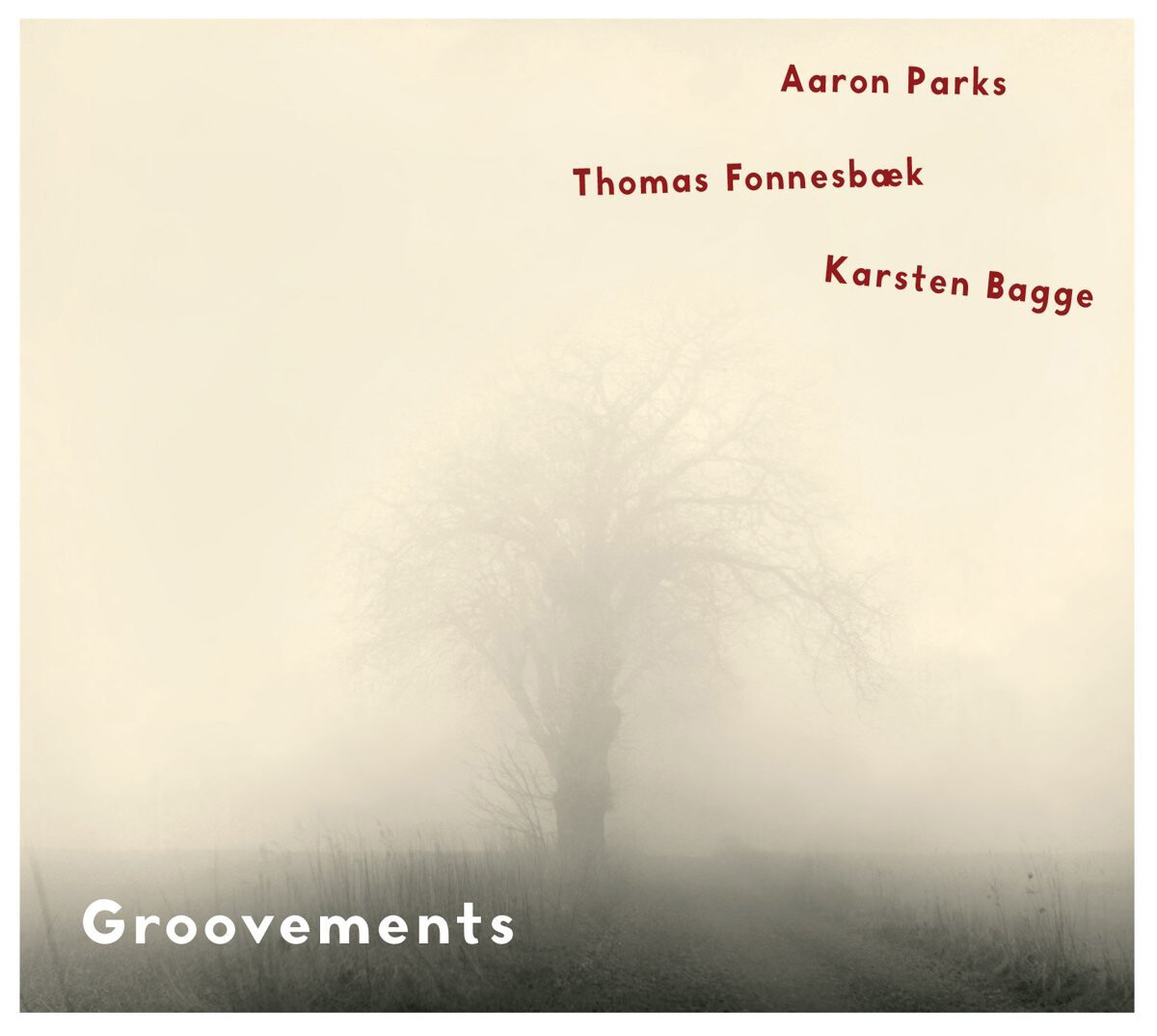 Aaron Parks/Thomas Fonnesboek/Karsten Bagge Groovements (CD) Album