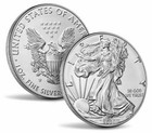2020 W American Eagle One Ounce Silver Uncirculated Burnished Coin BOX COA 20EG — photo 2