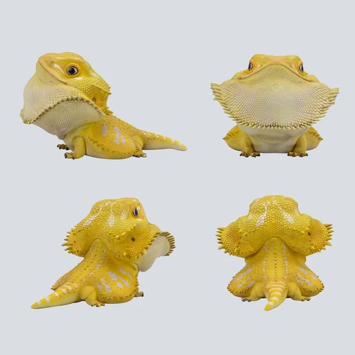 Lagarto Caja Ciega Animal Planet 16 Iguana Iguana Cyclura Lewisi Juguetes Figura de Resina - Imagen 11 de 26
