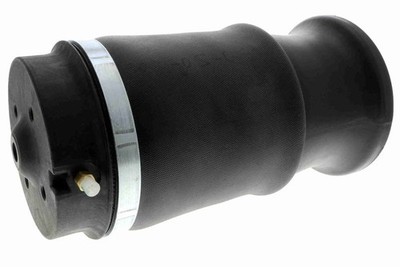 LUFTFEDER FAHRWERK HINTEN VEMO V30 50 0021 FÜR MERCEDES