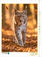 Calvendo Puzzle Eyes Like A Golden Autumn | 2000 Pieces, Finished Size 35.4 × 26