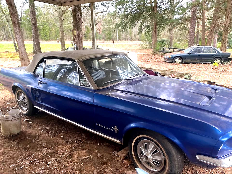 1967 Ford Mustang for sale in Miami Florida