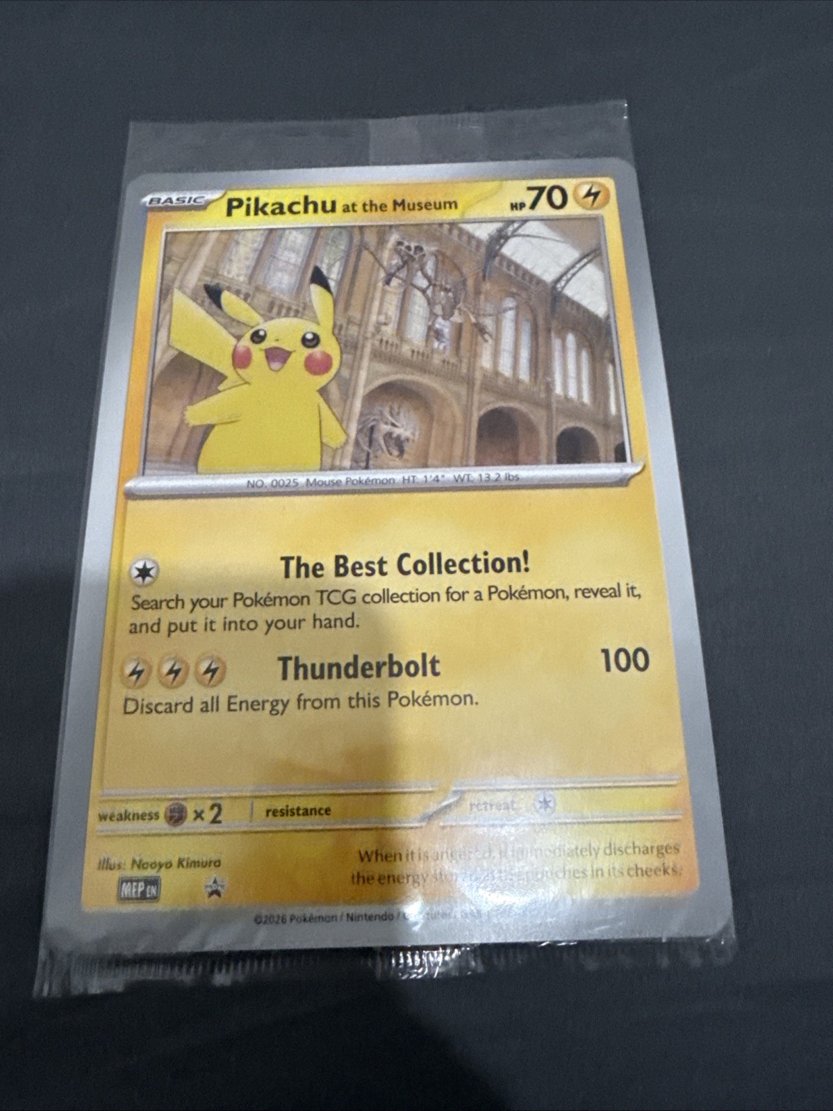 PIKACHU AT THE MUSEUM BLACK STAR JUMBO PROMO ASCENDED HEROES POKEMON CARD
