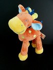 Foto 1 di 4