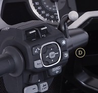 Goldstrike Accessory Mount w/Left side Accessory Mount (black) - Picture 1 of 1
