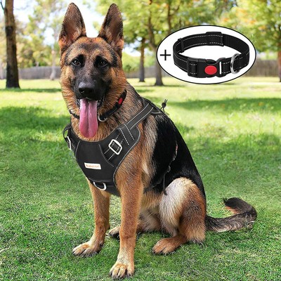 tactical harness for small dogs