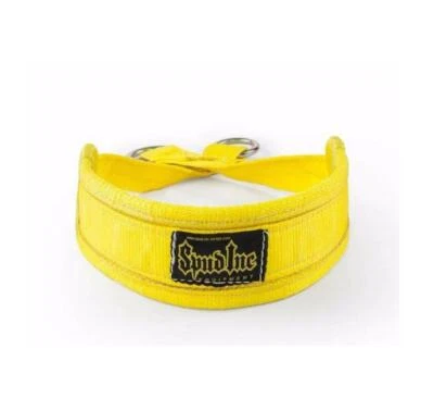 Spud, Inc. Gürtel Kniebeugengürtel (schwarz oder gelb, Größe Regular) - Bild 1 von 2