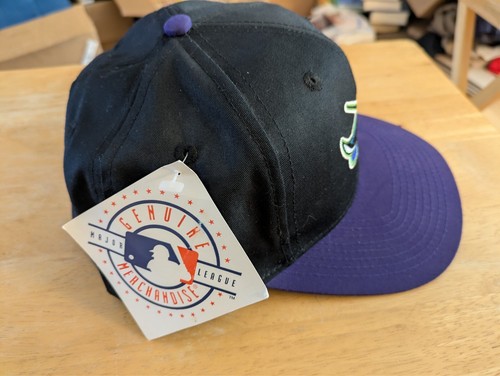 Vintage BallCap MLB Tampa Bay Devil Rays Plain Logo 7 Snapback Hat 90’s with TAG - Picture 2 of 5