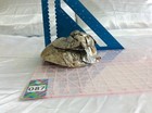 Foto 2 di 10