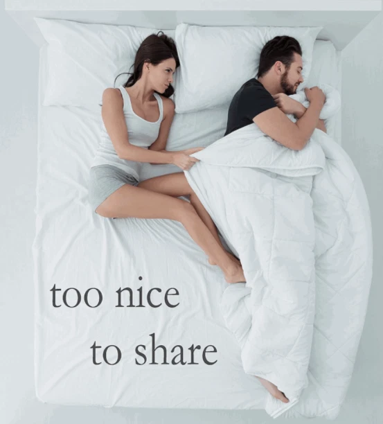 Carpenter bedding 2024