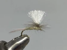 One Dozen (12) - Parachute PMD - Dry Fly