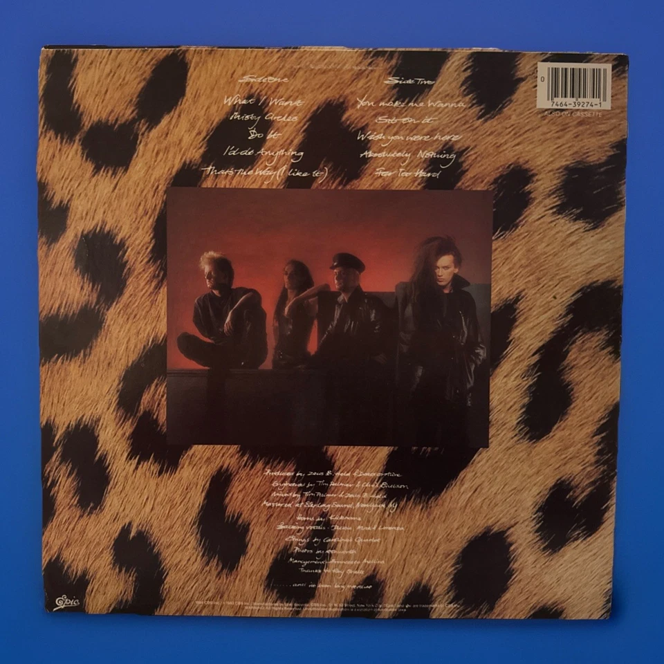 Dead Or Alive Sophisticated Boom Boom Original 1984 Vinyl LP 33 RPM V/G+ ~ Epic. - Image 2 of 4