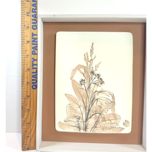 Piastrella Wildflores edizione limitata fatta a mano arte floreale pressata incorniciata in legno - Foto 8 di 9