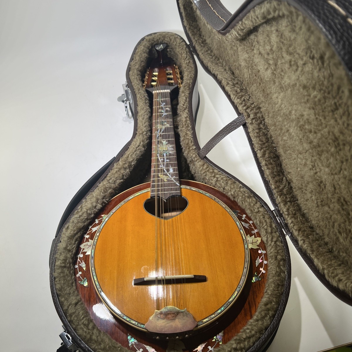 Antonio Tsai Acoustic Mandolin Banjolin Inlaid Mother Of Pearl 8