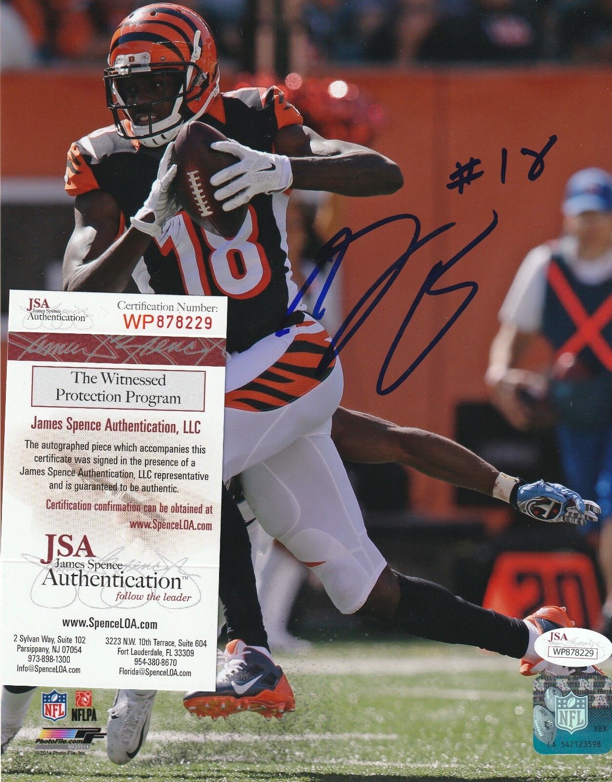 A.J. Green Autographed Signed Cincinnati Bengals JSA AUTHENTICATED ACTION 8x10 