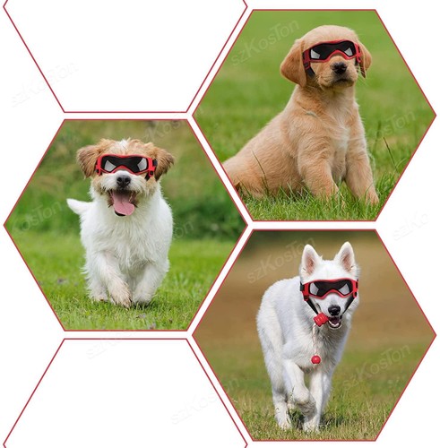 Occhiali da Sole per Cani Protezione UV per Cani di Piccola/Media Taglia, Regolabili - Foto 9 di 13