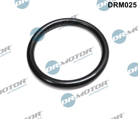 Dr.Motor Automotive DRM025 Dichtung, Drosselklappenstutzen For Dacia Renault-image