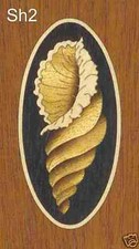 Oval Shell Inlay Marquetry SH2 4"x2" or 3"x1-1/2", VENEER WOODWORKING REQUIRED